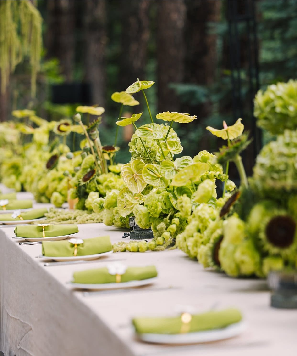 Wedding Planner - Joel Carela - Imagen 11