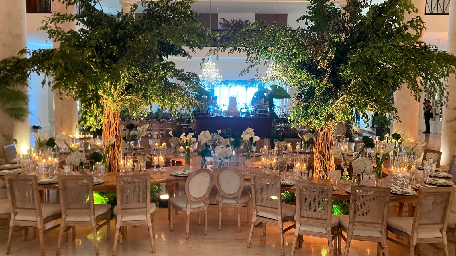 Wedding Planner - Joel Carela - Imagen 71