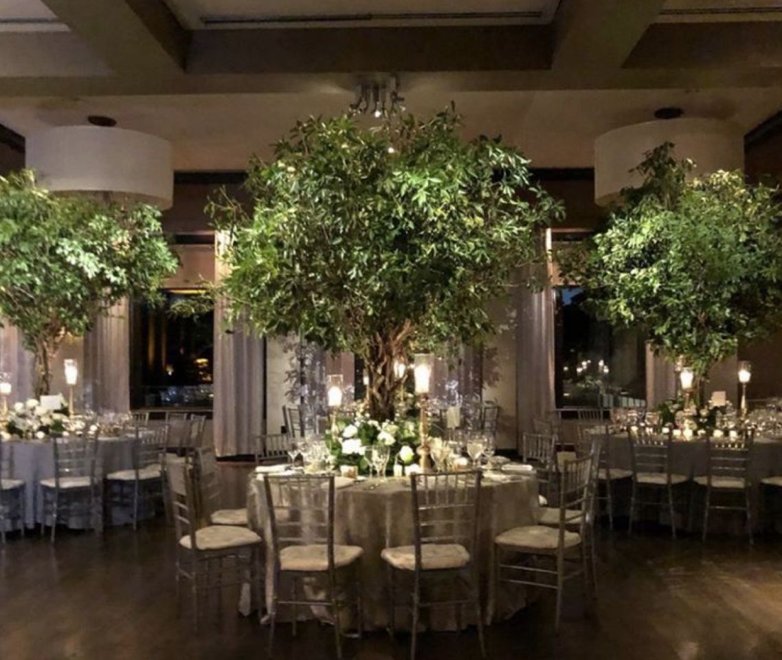 Wedding Planner - Joel Carela - Imagen 75