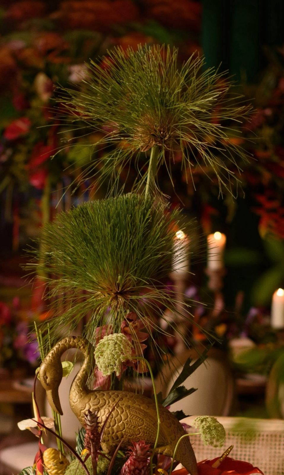 Eventos Experienciales - Joel Carela - Imagen 10