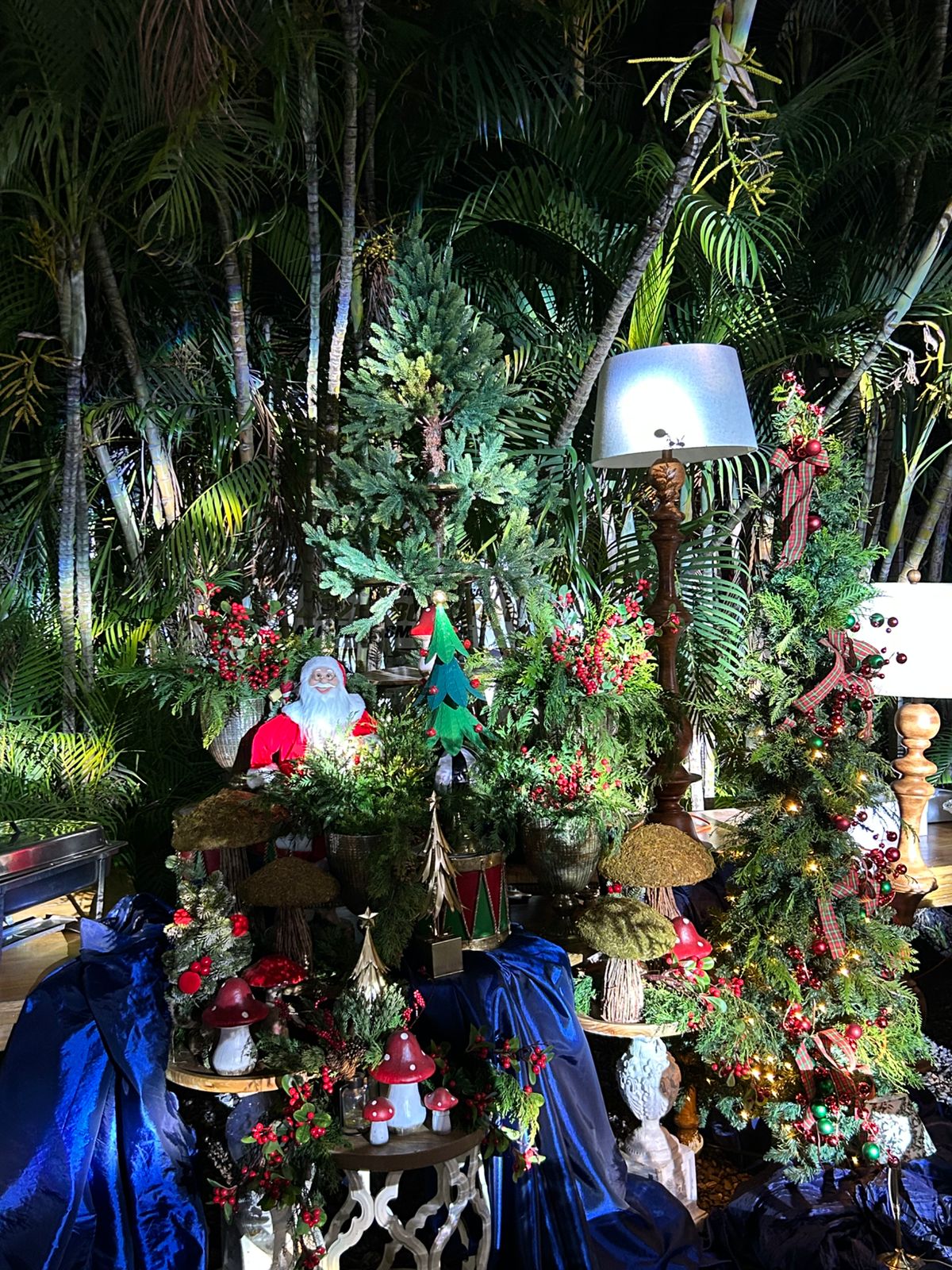 Eventos Experienciales - Joel Carela - Imagen 81