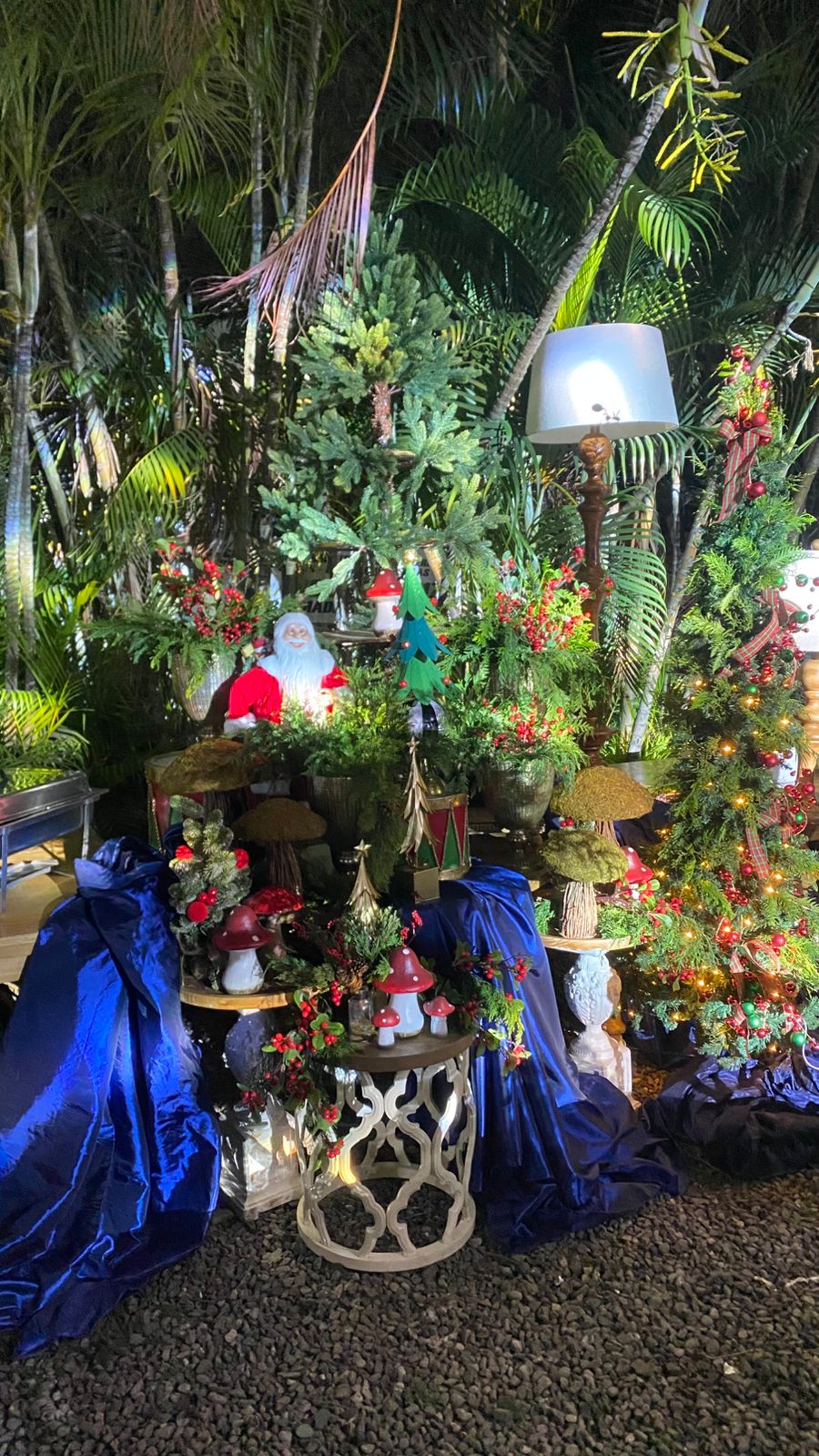 Eventos Experienciales - Joel Carela - Imagen 82